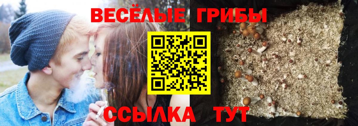 Псилоцибиновые грибы ЛСД Изобильный