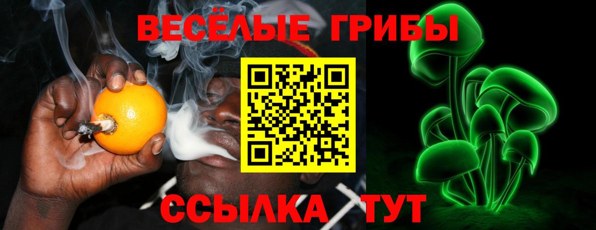 Псилоцибиновые грибы GOLDEN TEACHER  Вход с VPN  Изобильный 
